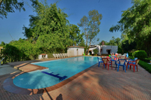 Swimming Pool GTV Resort Bandhavgarh
